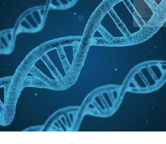 Ganadores del VIII Festival de la Nanociencia y la Nanotecnología