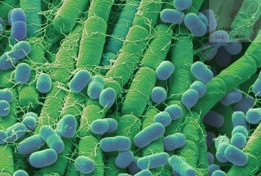 Conferencia del Centro de Astrobiología: De la química en el Espacio al origen de la Vida