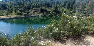 Excursión con actividad de tirolina para el alumnado de Primaria