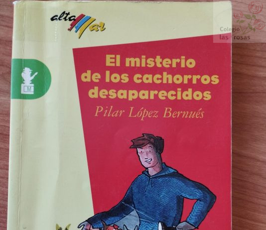 RECOMENDACIONES DE LECTURAS