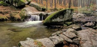 Excursión al Camino de Pesquerías Reales (Valsaín, Segovia)- 1º ESO