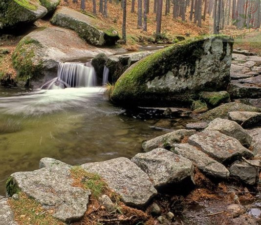 Excursión al Camino de Pesquerías Reales (Valsaín, Segovia)- 1º ESO