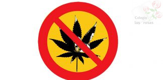 Talleres para la prevención del consumo de cannabis (3º ESO)