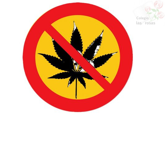 Talleres para la prevención del consumo de cannabis (3º ESO)