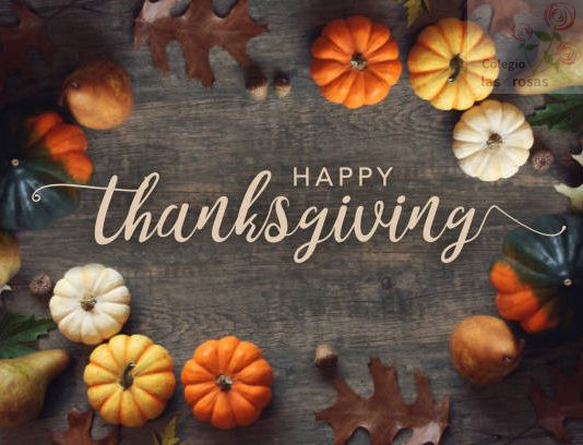 Día de acción de gracias (ESO)