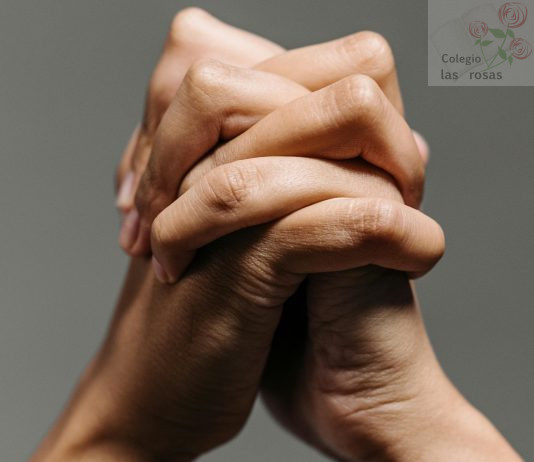 Programa Alumnos Mediadores