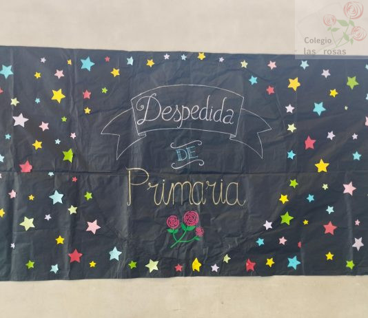Despedida de sexto de Primaria, curso 24/25