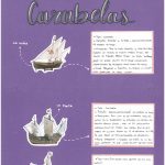 Descubrimiento de América_page-0003