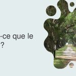 cbd288eed284876141d5a06ff56f4e04-2