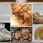 Folleto Gd y PG 2014 (1)_page-0005