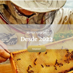 Imagen 6 HoneysHouse