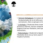 Presentación2_4