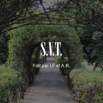 S.T.V._Francés_01
