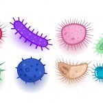diferentes-formas-fondo-virus-o-bacterias-parasitas_1017-24223(1)