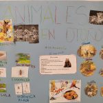 IMG_20191106_133241