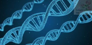 Ganadores del VIII Festival de la Nanociencia y la Nanotecnología