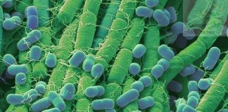 Conferencia del Centro de Astrobiología: De la química en el Espacio al origen de la Vida