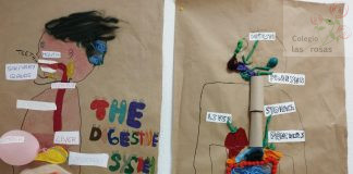 The Digestive System