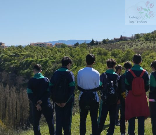 Ruta geomorfológica a las Hoces del río Duratón de 3º de Secundaria