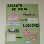oplus_1048608