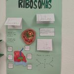oplus_1048608
