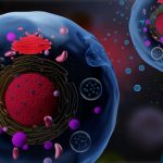 3d render of cells secreting exosomes