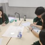 IMG_20250219_103546