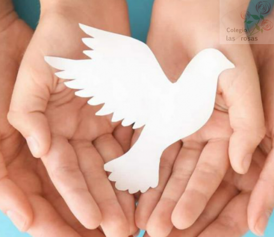 Día de la Paz (ESO): Un viaje por la Historia