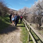 WhatsApp Image 2026-03-25 at 10.28.08