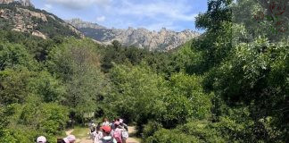 Excursiones a La Pedriza
