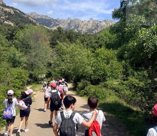 Excursiones a La Pedriza