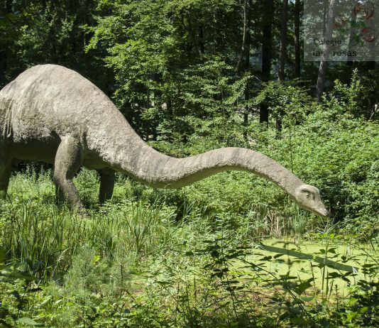 El hallazgo científico que pone en cuestión 150 millones de años de historia